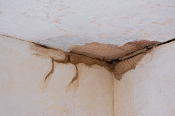 Best Water damage restoration mold remediation  in Ridgewood, IL