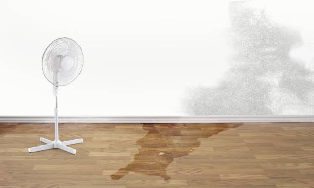 Best Flood restoration services  in Ridgewood, IL