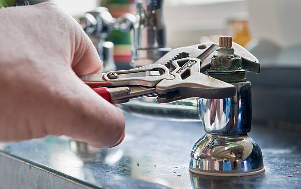Best Flood damage cleanup  in Ridgewood, IL