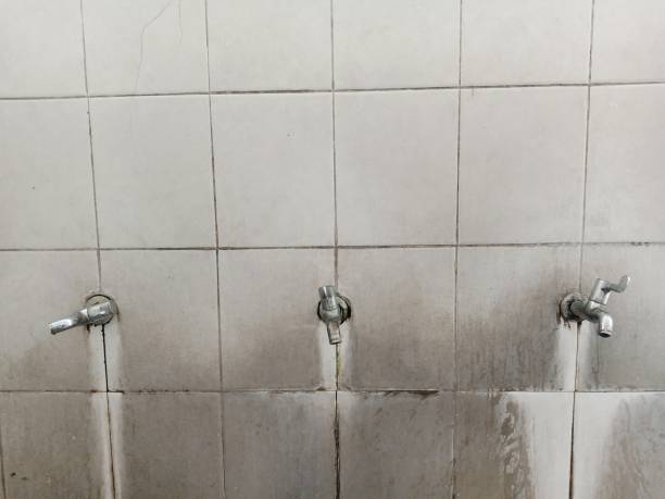 Best Water damage cleanup near me  in Ridgewood, IL