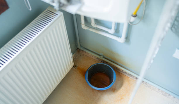 Best Water damage cleanup near me  in Ridgewood, IL