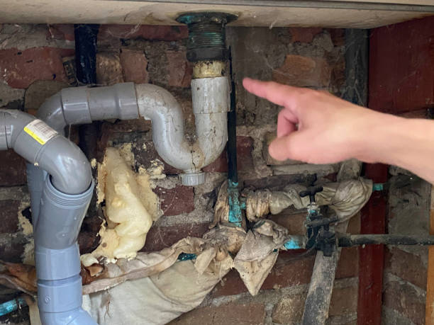 Best Local water damage restoration  in Ridgewood, IL