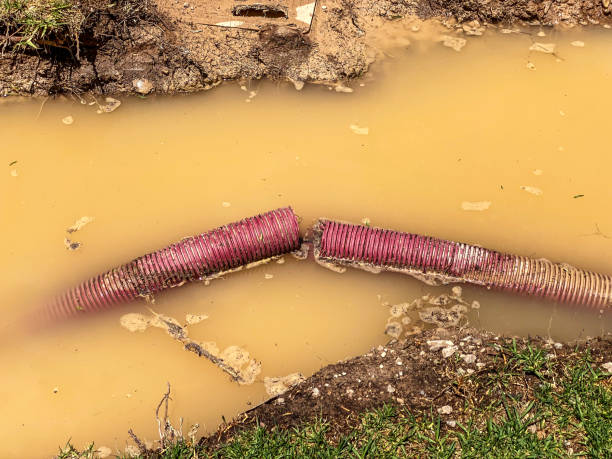 Best Water damage contractors near me  in Ridgewood, IL